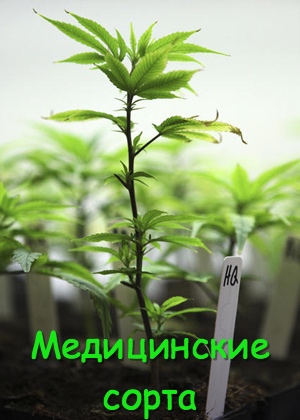 Медицинские