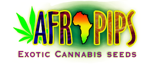 Afropips