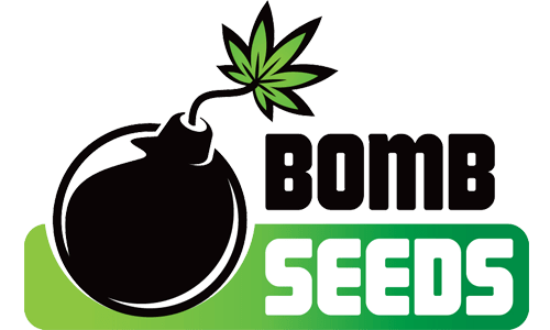 Bomb Seeds