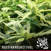 Russian Rocket Fuel - вид 1 миниатюра