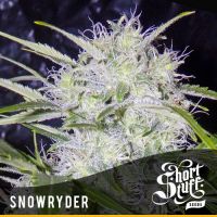 Snowryder - вид 1 миниатюра